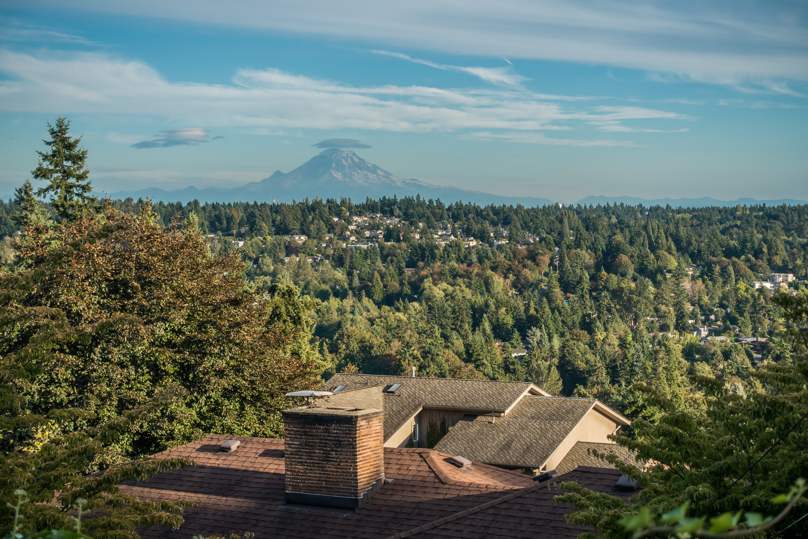 Making moves fast, simple, and stress-free for families and businesses in Kent, WA
