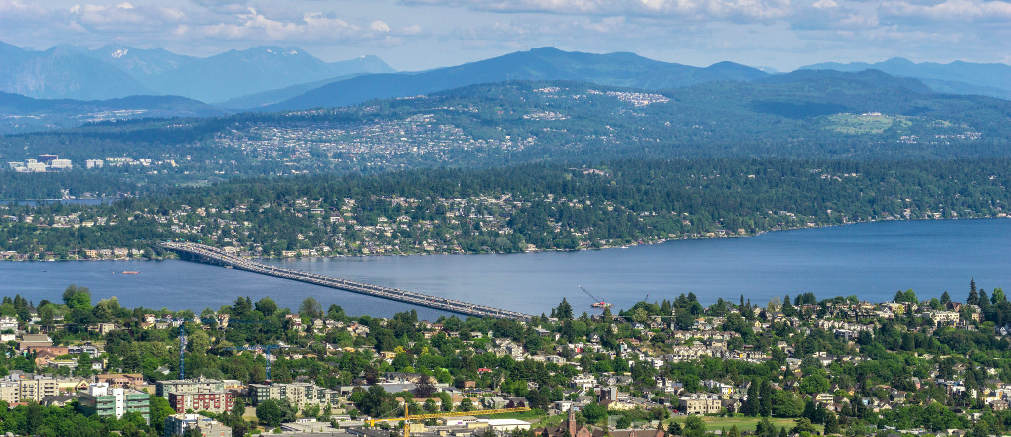 Making moves stress-free, simple, and fast for families and businesses in Lacey, WA