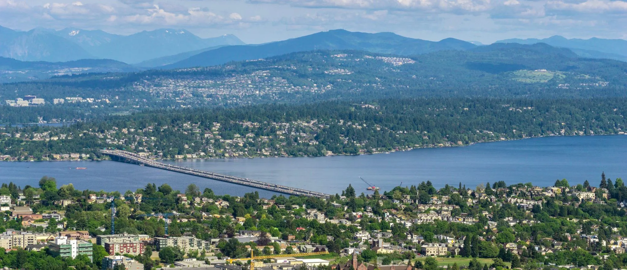 Making moves stress-free, simple, and fast for families and businesses in Lacey, WA